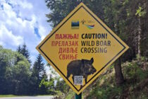 Postavljene table sa upozorenjem na prelaz divljih životinja